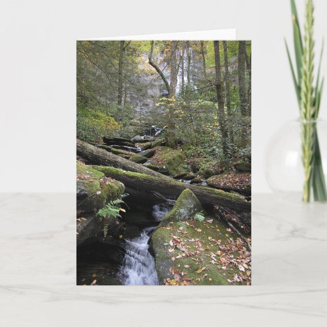 Cartão Peace (Frente)