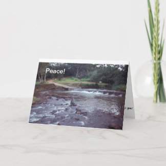 Cartão Peace Notecard  Hawaii Stream