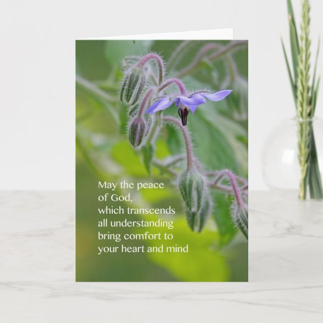Cartão Peace of God Sympathy Card (Borage) (Frente)