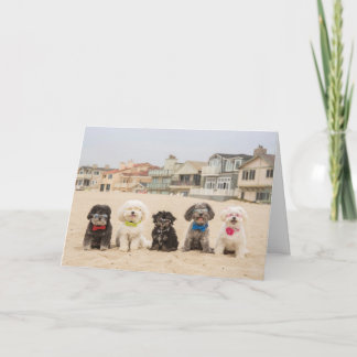 Cartão Peace on the Beach