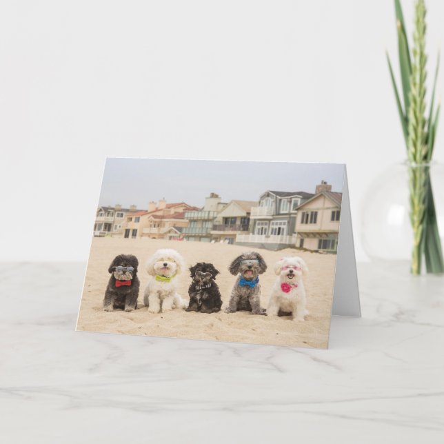 Cartão Peace on the Beach (Frente)