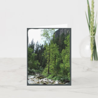 Cartão Peaceful Forest Sympathy Card