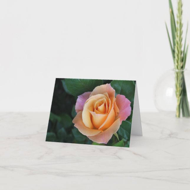 Cartão Peach Rose Notecard (Frente)