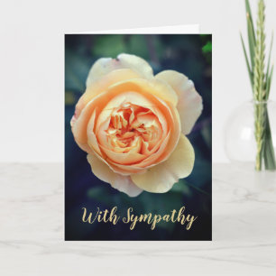Cartão Peachy Orange Garden Rosa com simpatia