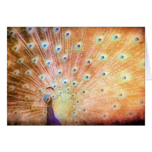 Cartão Peacock