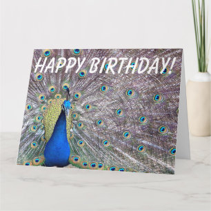 Cartão Peacock Bird Birthday Big Greeting Card