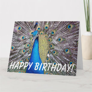Cartão Peacock Bird Birthday Big Greeting Card
