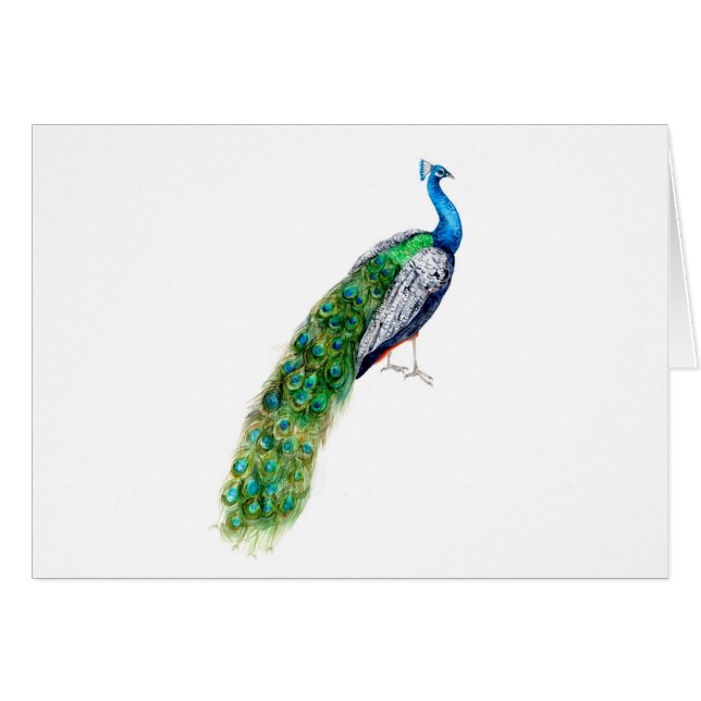Cartão Peacock bonito (Frente Horizontal)
