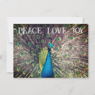 Cartão Peacock Christmas Card