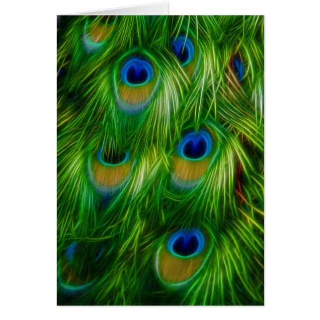 Cartão Peacock Feather Impressão (Frente)