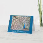 Cartão Peacock Mothers Day Card<br><div class="desc">Peacock Mothers Day Card,  greeting or note,  or customize and add your own printed words to make a birthday card,  get well card,  etc.</div>