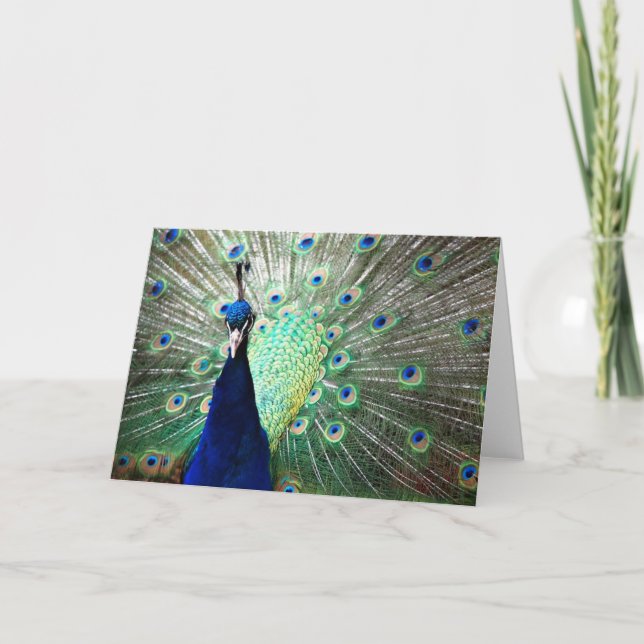 Cartão Peacock Note Card (Frente)
