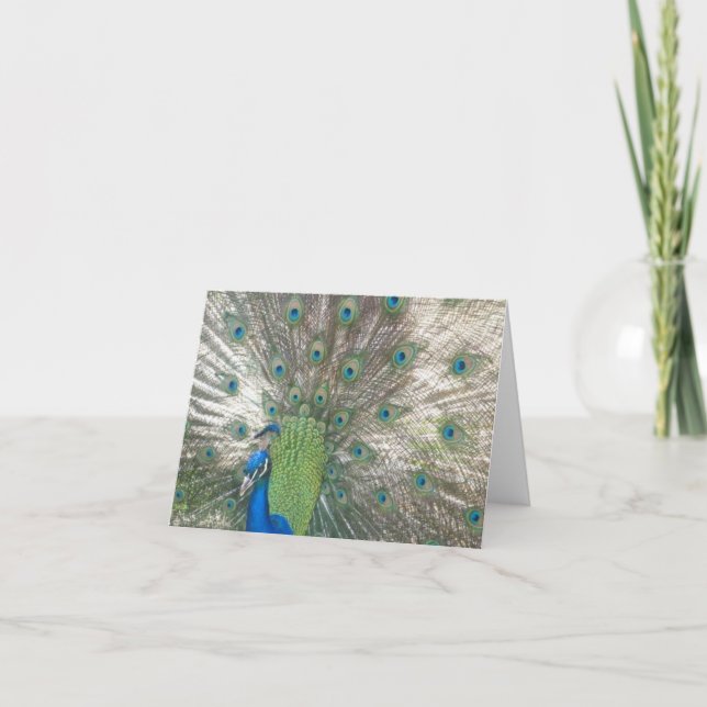 Cartão Peacock notecards (Frente)