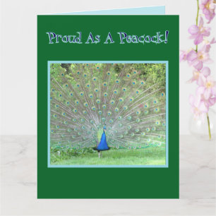 Cartão Peacock/"Orgulho como um PAI de Natal"/FELIZ