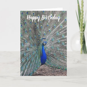 CARTÃO PEACOCK PHOTO HAPPY BIRTHDAY GREETING CARD