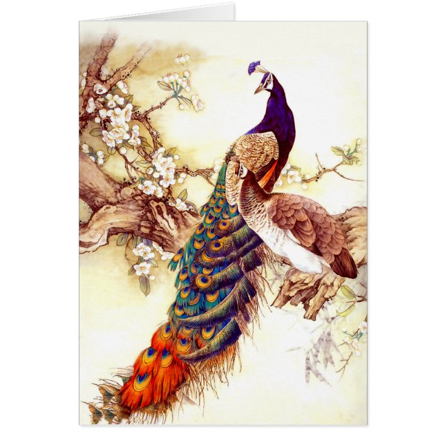 Cartão Peacock Royal (Frente)