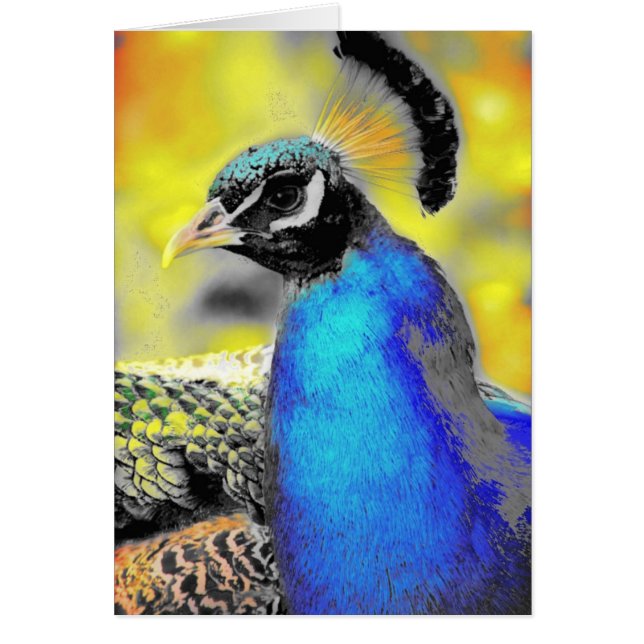 Cartão Peafowl (Frente)