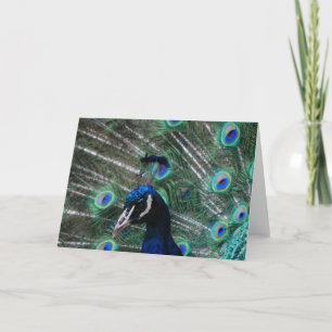 Cartão Peafowl Bird Greeting Card