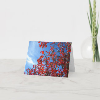 Cartão Pear Coreano