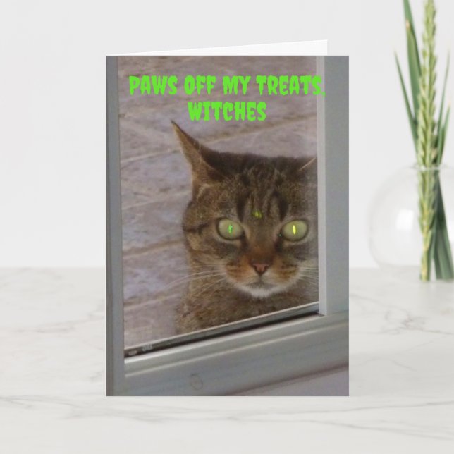 Cartão Peças De Gato Loucas Do Meu Tratamento Bruxas Do D (Frente)