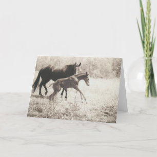 Cartão Peças Pontas