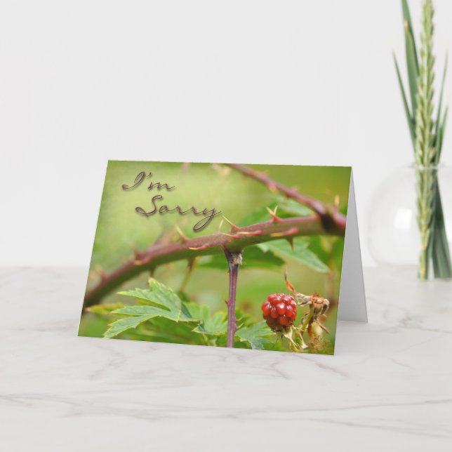 Cartão Peço desculpa por estar com medo (Frente)