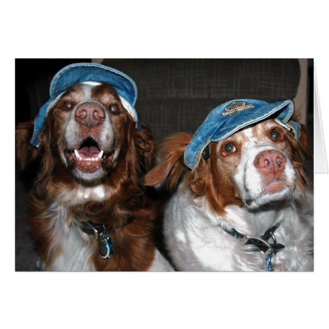 CARTÃO PEDAÇOS EM ÓDIO (Frente horizontal)