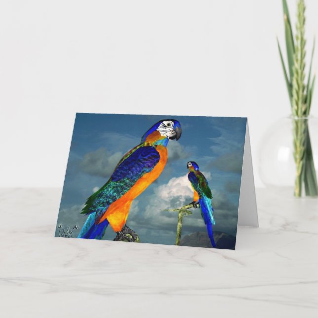 CARTÃO PEDAÇOS HÍPER / ARA AZUL (Frente)