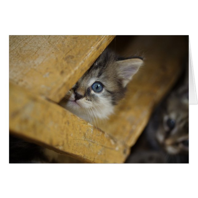 Cartão Peek-A-Boo (Frente Horizontal)