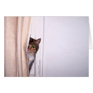 Cartão Peek-a-Boo Cat