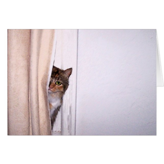 Cartão Peek-a-Boo Cat (Frente Horizontal)