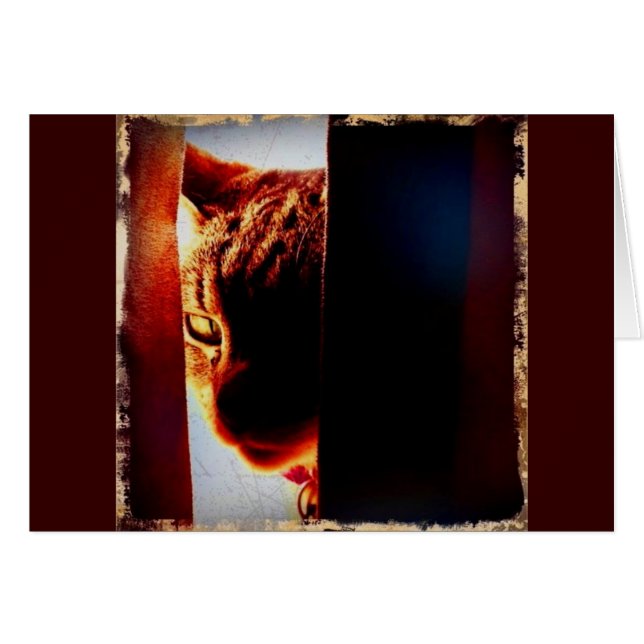 Cartão Peek-a-boo Indigo (Frente Horizontal)