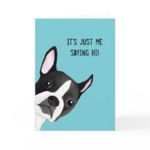 Peeking Boston Terrier Illustrated Greeting Card