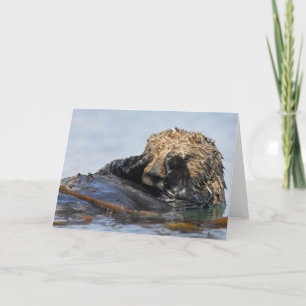Cartão Peeking Sea Otter Card