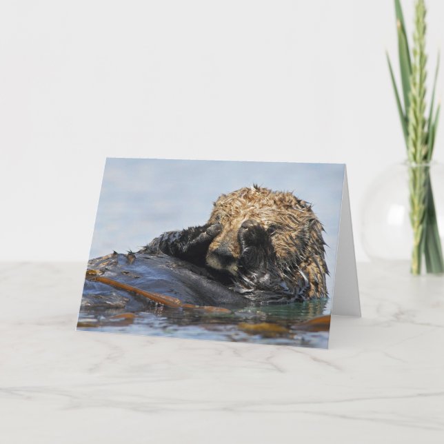 Cartão Peeking Sea Otter Card (Frente)