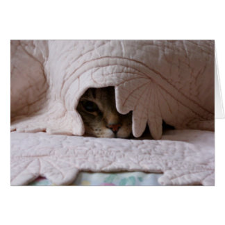 Cartão Peeking Tom card