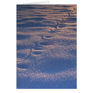 Cartão Pegadas em neve