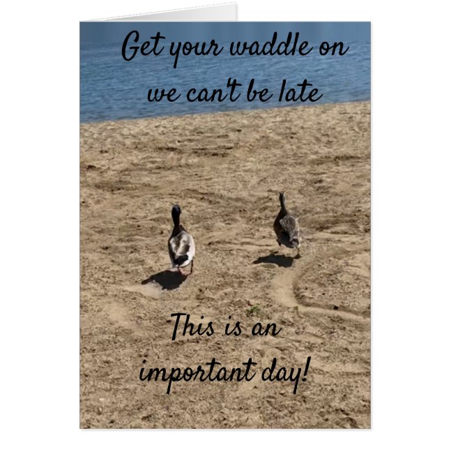 CARTÃO ***PEGUE A SUA PALAVRA** OS PATOS DIZEM "FELIZ ANI (Frente)