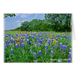 Cartão Pegue seu travesseiro