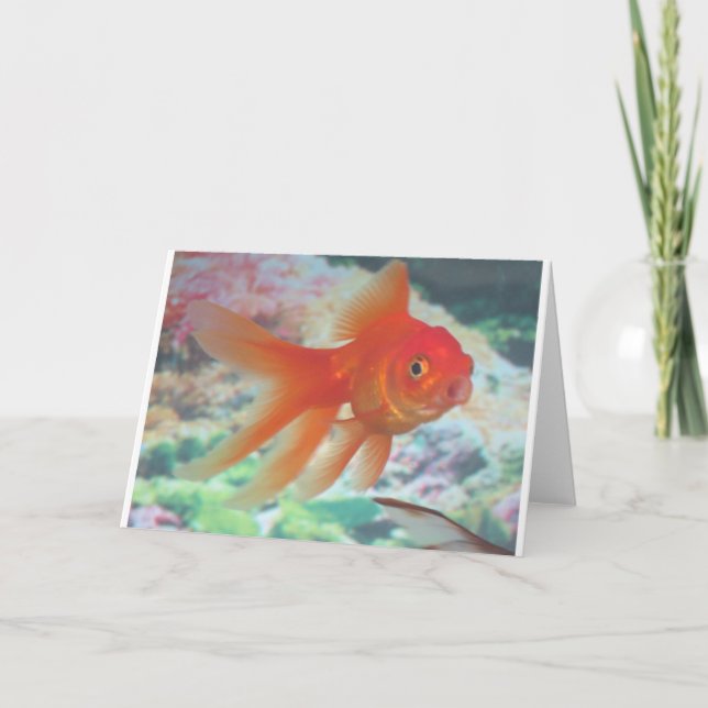 Cartão Peixe dourado de fala (Frente)