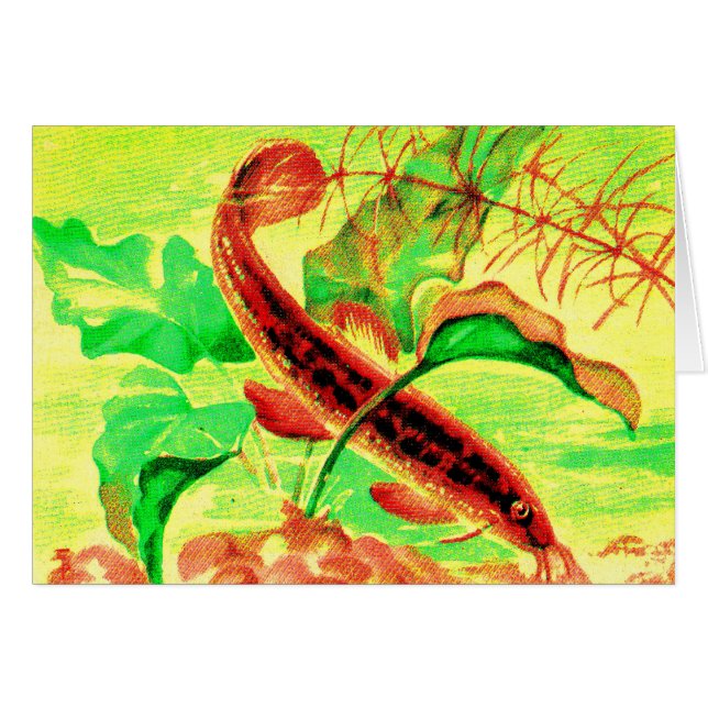 Cartão peixe-gato (Frente horizontal)