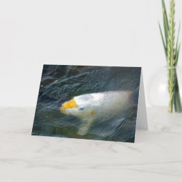 Cartão Peixe Goldfish No Lago