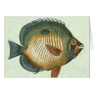 Cartão Peixe Grande Colorido