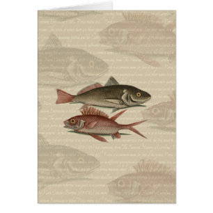 Cartão Peixe Perca Vermelha Arte de Pescador