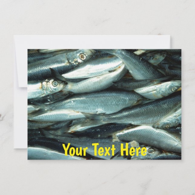 Cartão Peixe Personalizável (Frente)