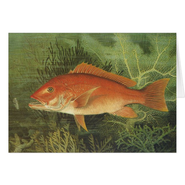 Cartão Peixe-Snapper Vermelho no Oceano, Vida Marinha Vin (Frente Horizontal)
