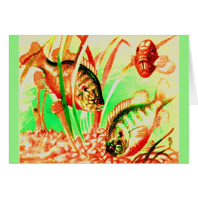 Cartão peixe-sol água fresca (Frente Horizontal)