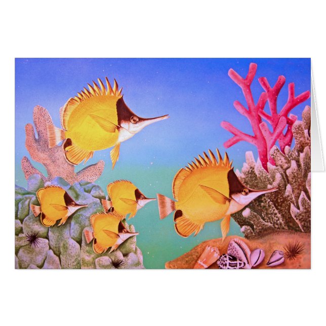 Cartão peixes da borboleta do Longo-nariz (Frente Horizontal)