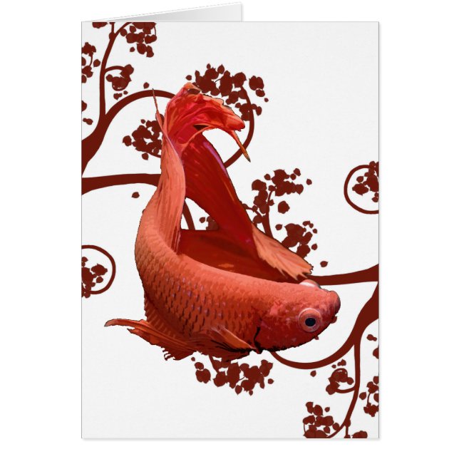 Cartão Peixes de combate Siamese vermelhos de Betta (Frente)