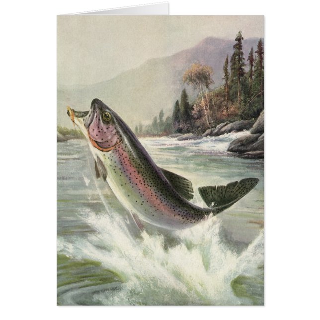 Cartão Peixes De Trutas Arco-Íris Vintage, Pesca Pescador (Frente)